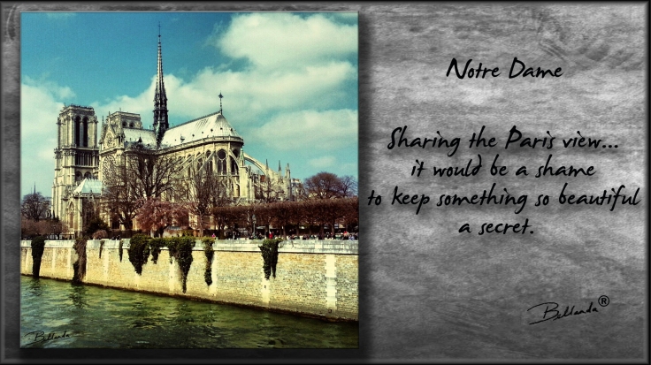 Notre Dame - Paris, FrancePhotography/Graphicsby Bellanda  ®